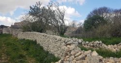 Caseggiato Rurale con ampio cortile e giardino, contrada Maltempo RG