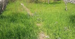 Caseggiato Rurale con ampio cortile e giardino, contrada Maltempo RG