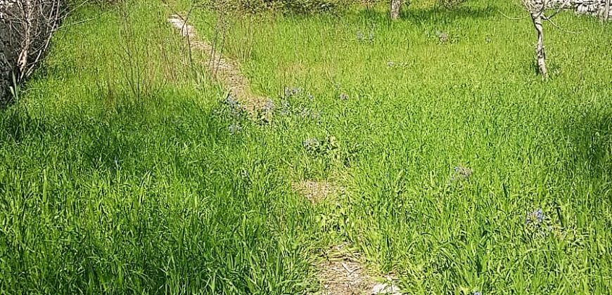 Caseggiato Rurale con ampio cortile e giardino, contrada Maltempo RG