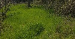 Caseggiato Rurale con ampio cortile e giardino, contrada Maltempo RG