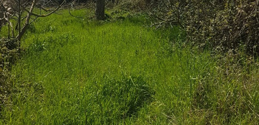 Caseggiato Rurale con ampio cortile e giardino, contrada Maltempo RG
