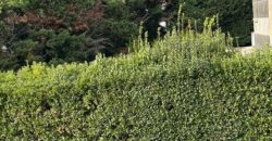 Appartamento in villa bifamiliare, a pochi passi dalla clinica del Mediterraneo, Ragusa