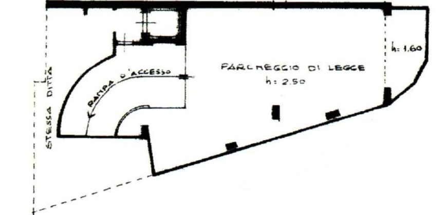 Ampio appartamento con terrazza in Via Carducci