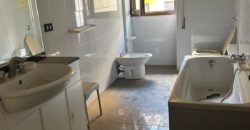 Ampio appartamento con terrazza in Via Carducci