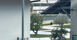 Ampio appartamento con terrazza in Via Carducci